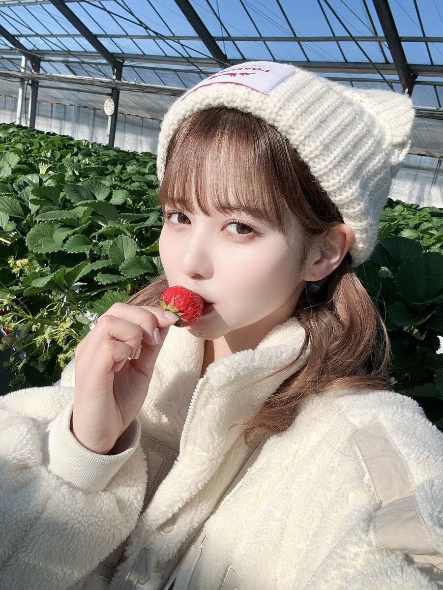 sugales_noah's tweet photo. いちご狩ってやった(>_<)🍓ぷはは https://t.co/0h8aBuPeu3
