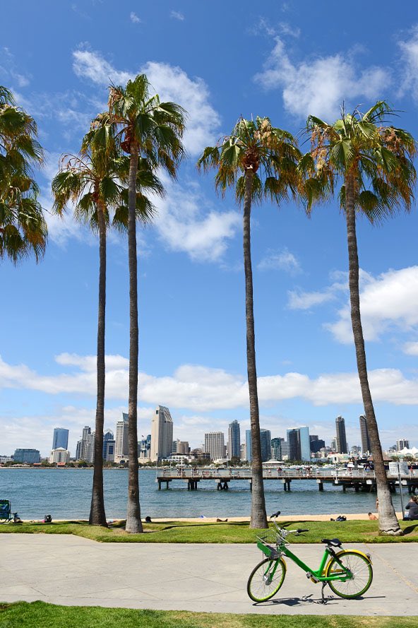 Sandip Patel MD FASCO (@pateloncology) on Twitter photo Abstract submission for WCLC24 in San Diego open! Look forward to seeing the latest advances in thoracic oncology as we celebrate 50 years of IASLC 9/7-9/10. Hope to see you there! Abstract submission for WCLC24 in San Diego open! Look forward to seeing the latest advances in thoracic oncology as we celebrate 50 years of IASLC 9/7-9/10. Hope to see you there!