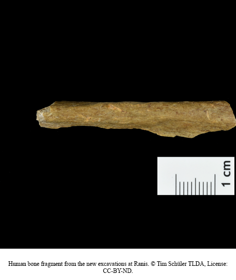 AnthroCSUN's tweet photo. Congratulations to Dr. Hélène Rougier (and team) on this amazing discovery! Homo sapiens already reached NW Europe more than 45,000 years ago. The arrival of Homo sapiens in cold northern latitudes took place several thousand years before Neanderthals disappeared in SW Europe. https://t.co/APAB1mpyBX