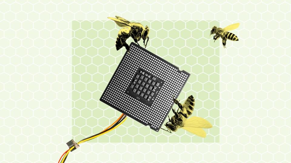 'I watched Bee Movie in high school and I was like, 'Oh wow, really? I didn't know that!''🐝 Can smart sensors improve the health and productivity of bee colonies in #SouthAfrica? Read all about it in this witty pilot story ⬇️ bit.ly/3u5OpaZ #NationalStorytellingWeek