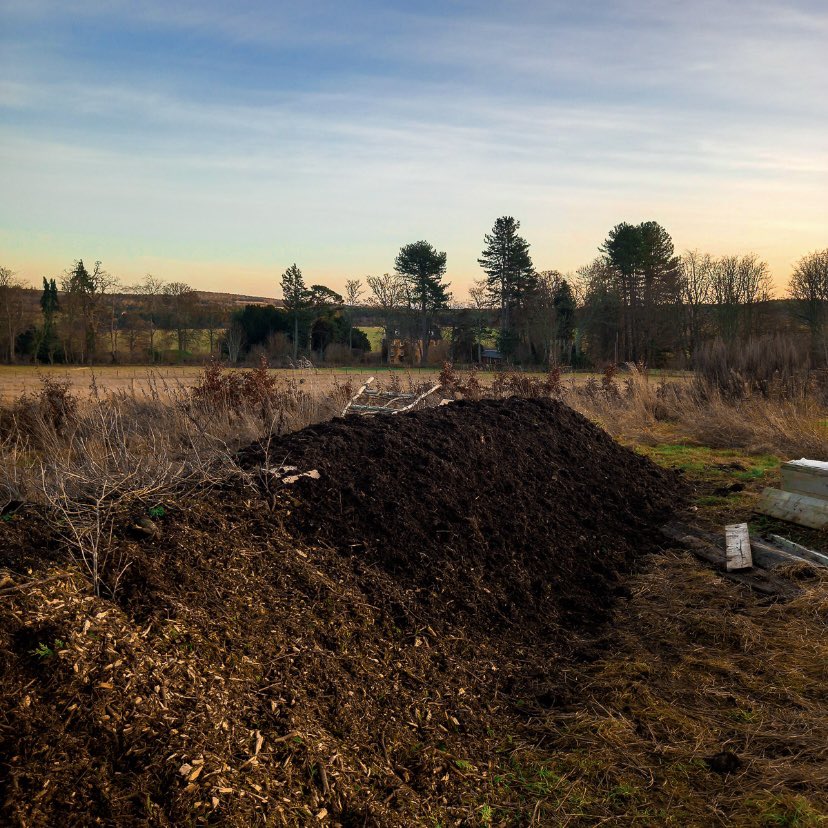 BlackIsleBeer's tweet photo. Even in winter, our garden is buzzing with activity. It's all about preparation now, to ensure our bars are stocked with fresh ingredients throughout the year. Read what's happening and how you can be a part of our 2024 workshops in our latest blog post. https://t.co/od3pZCjk1h https://t.co/A4JeM4Tr2j
