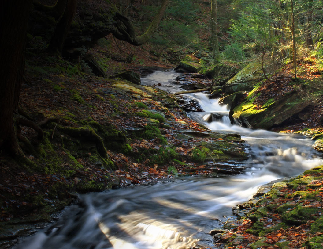 multivac42's tweet photo. ¡¡Buscamos #postdoc en el @ctforestal!! Ofrecemos 2 años de contrato para trabajar con @forestpau y conmigo en modelización ecohidrológica y de dinámica forestal, en el proyecto ForH2O. Si te interesa, tienes más detalles de la oferta aquí https://t.co/x8CSe9WN7s #Bosques #Agua https://t.co/ixlqrzdL8x
