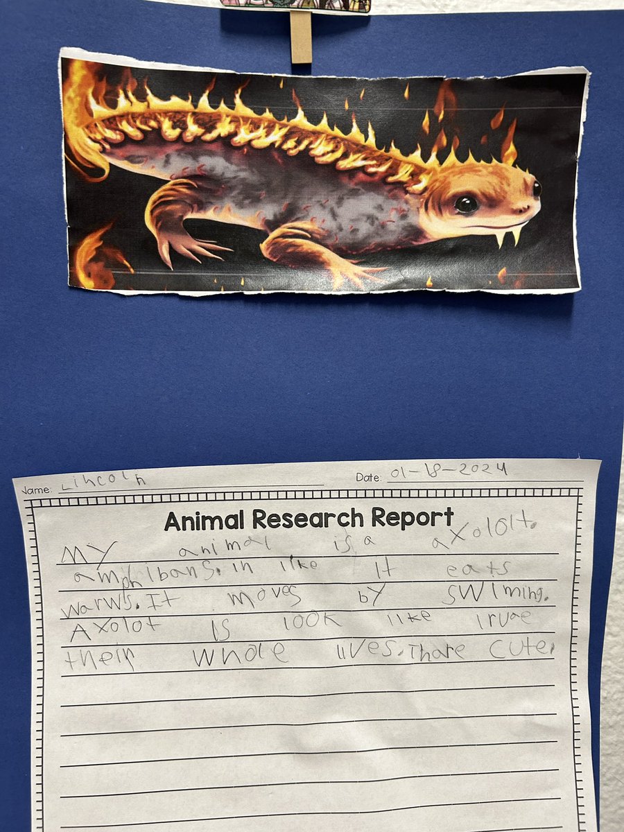 Lauren Taggart tweet media