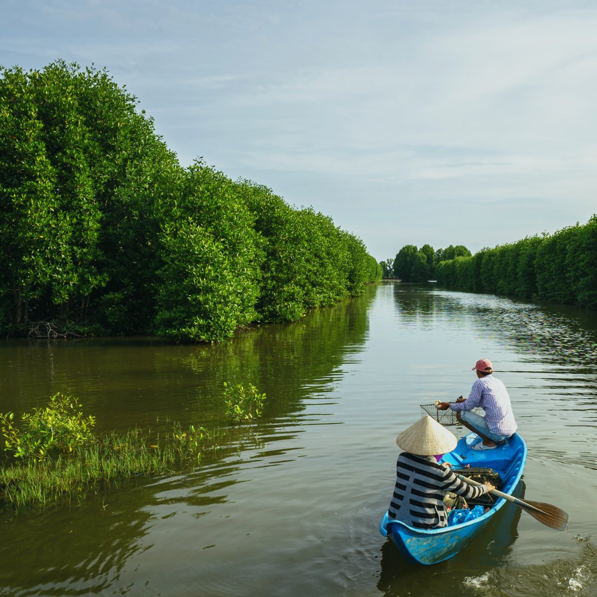 #Mangroves aren't just vital for the #environment, They also provide livelihoods for #coastalcommunities.

👨‍👩‍👧‍👦 By preserving mangroves, we support the societies living near #coastlines, allowing them to sustain their livelihoods and find economic #opportunities.