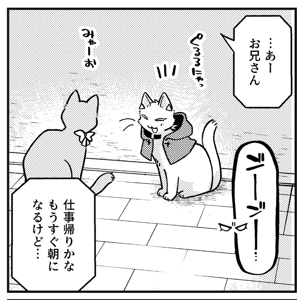 ニキ猫=^・ω・^= 