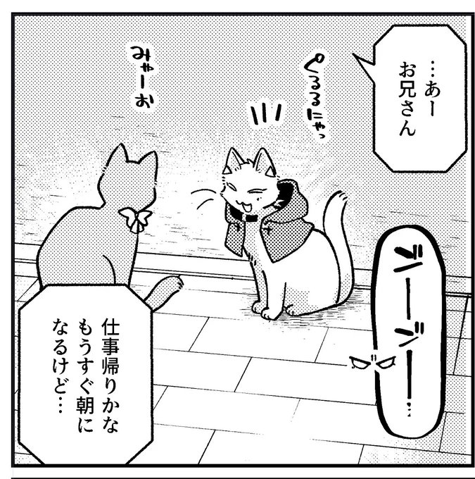 ニキ猫=^・ω・^= 