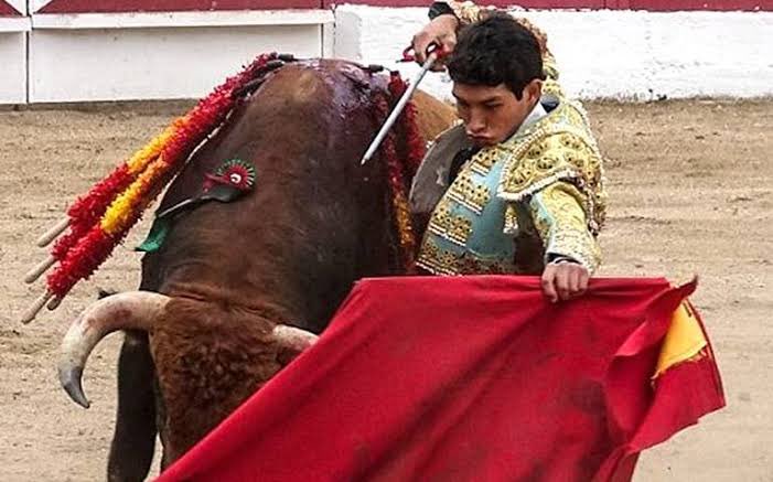 rbarriosfuentes's tweet photo. México necesita más personas con ideales como los de Homero Gómez que toreros. 

La nueva suspensión de las corridas de toros en CDMX, otorgada por la jueza federal, ayuda a profundizar sobre los derechos de los animales. 

El 7 de febrero se analizará la suspensión definitiva. https://t.co/v1VnYUqJXy