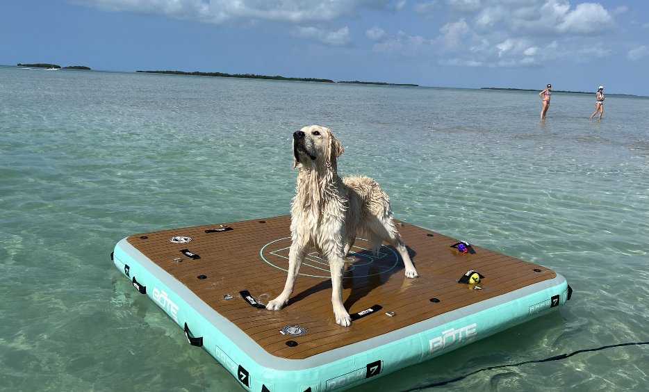 Pups welcome ✅

SeaMonkey Charters prides themselves on being dog-friendly. They will include your pup on your Key West Sand Bar adventure to help enrich their lives and provide you with memories you can treasure forever.