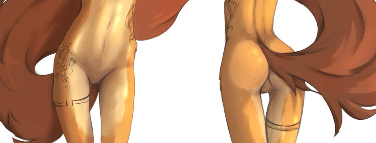 Tiny Boring Pirate tweet media