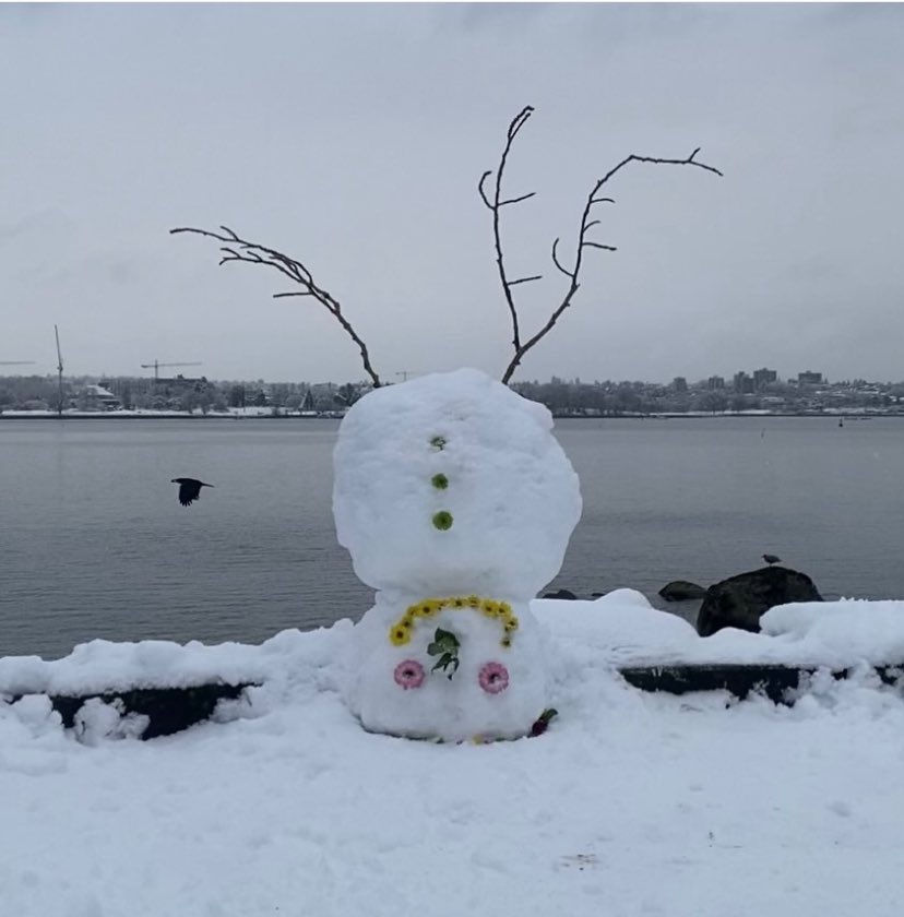 Mr . Bubbles tweet media