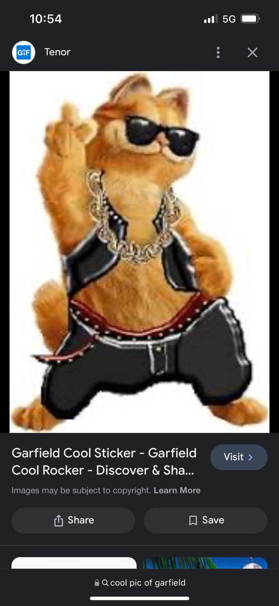 Bitch I said what I said. I’d rather be Garfield instead!