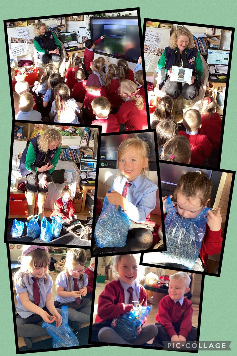 EYFS with Miss S tweet media