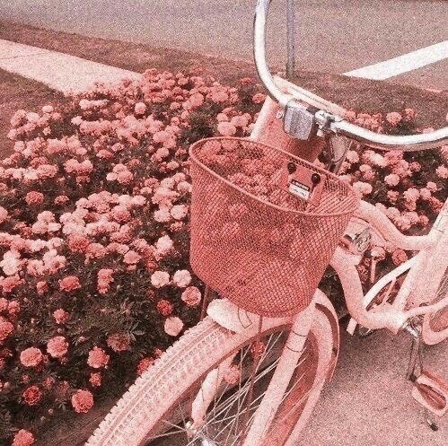 ☆♡↫𝓢𝓸𝓾𝓵𝓜𝓪𝓽𝓮↬♡☆ tweet media