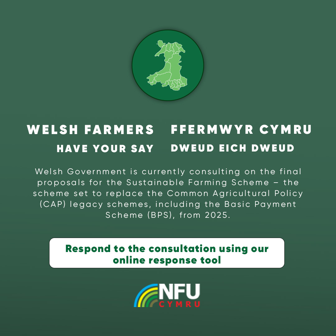 Welsh farmers | We have until 7 March to respond to Welsh Government's Sustainable Farming Scheme proposals.

Have your say today➡️ow.ly/HfzI50QwpUb