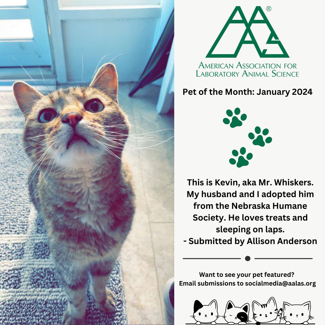 January's AALAS Pet of the Month is Kevin the cat! Congratulations Kevin! 🎉🐈 
If you want to see your pet featured, send a photo and caption including the pet's name to socialmedia@aalas.org. 
All animals are welcome!