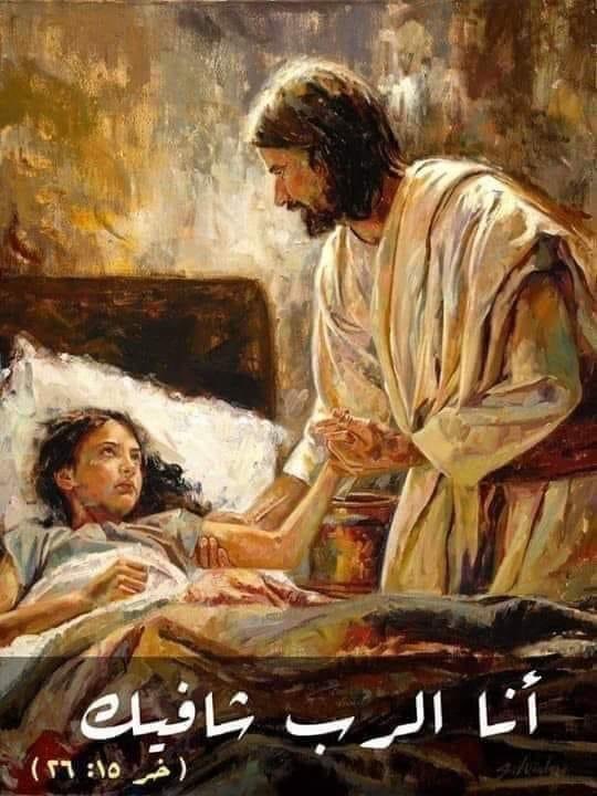 Gerges Awad (@gergis_fouad) on Twitter photo 