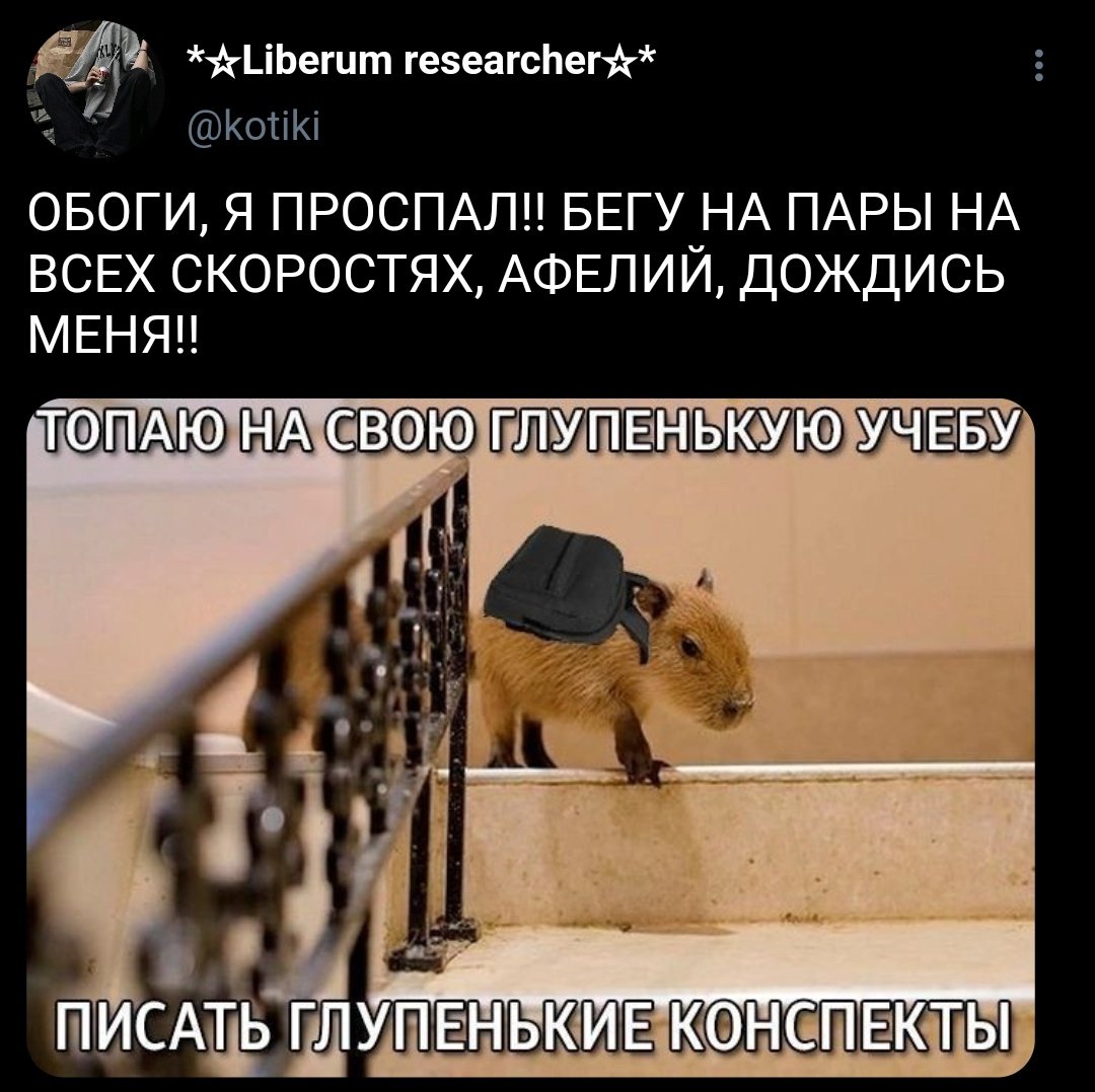 stranntum's tweet photo. 2. https://t.co/vp0RmirCpP
