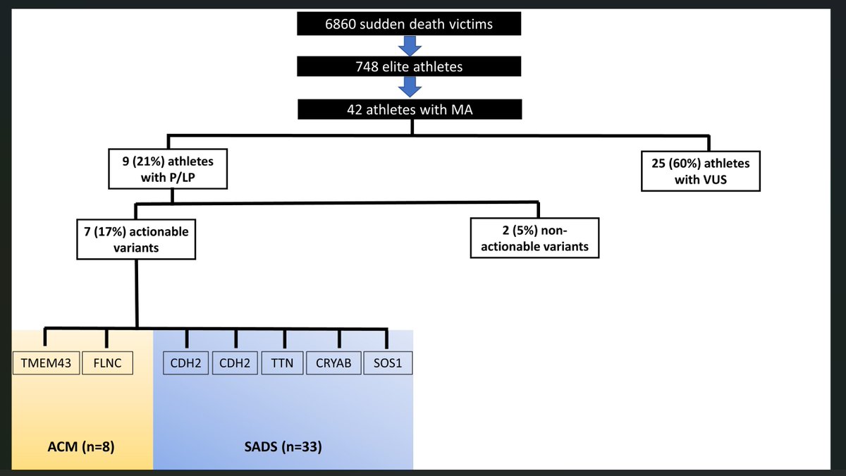 Molecular autopsy in athletes who died suddenly. Glad to share interesting results from our @StGeorgesUni cohort academic.oup.com/europace/advan… @SSharmacardio @SheppardNoelle @MichaelPapadak2 @BehrElijah @CRY_UK