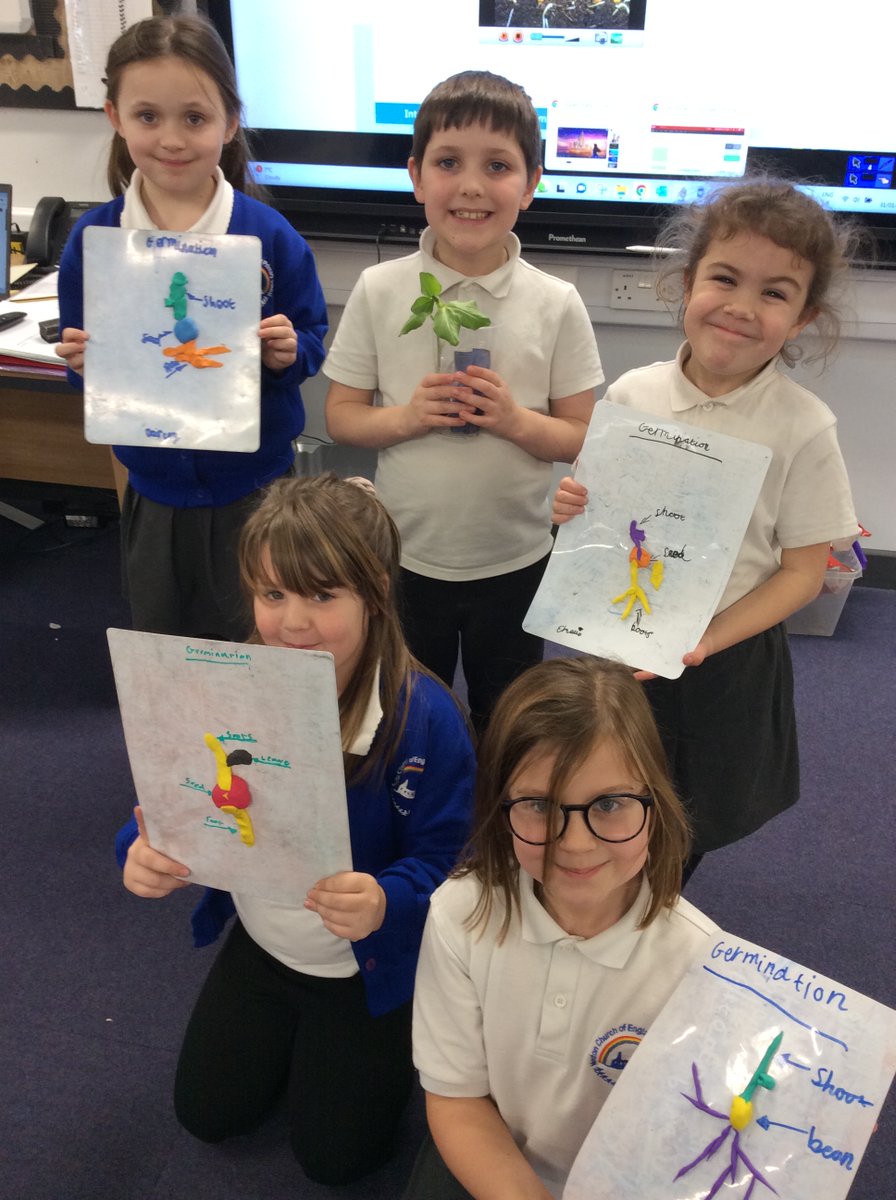 NectonY2's tweet image. We were showing our understanding of scientific concepts  today in Maple class, as we made models explaining different stages of the life-cycle of a plant. @NectonPrimary 🌱🌻
