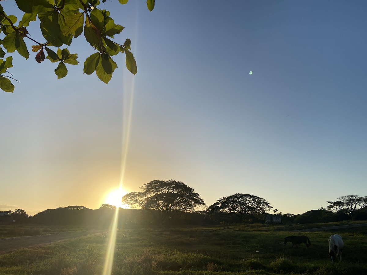 Anshley_Connor's tweet photo. @escritosrame República Dominicana, San Francisco de Macorís, carretera nagua, Residencial Prikaren. 🌅🤍🫠 https://t.co/Avh1VDs1mo