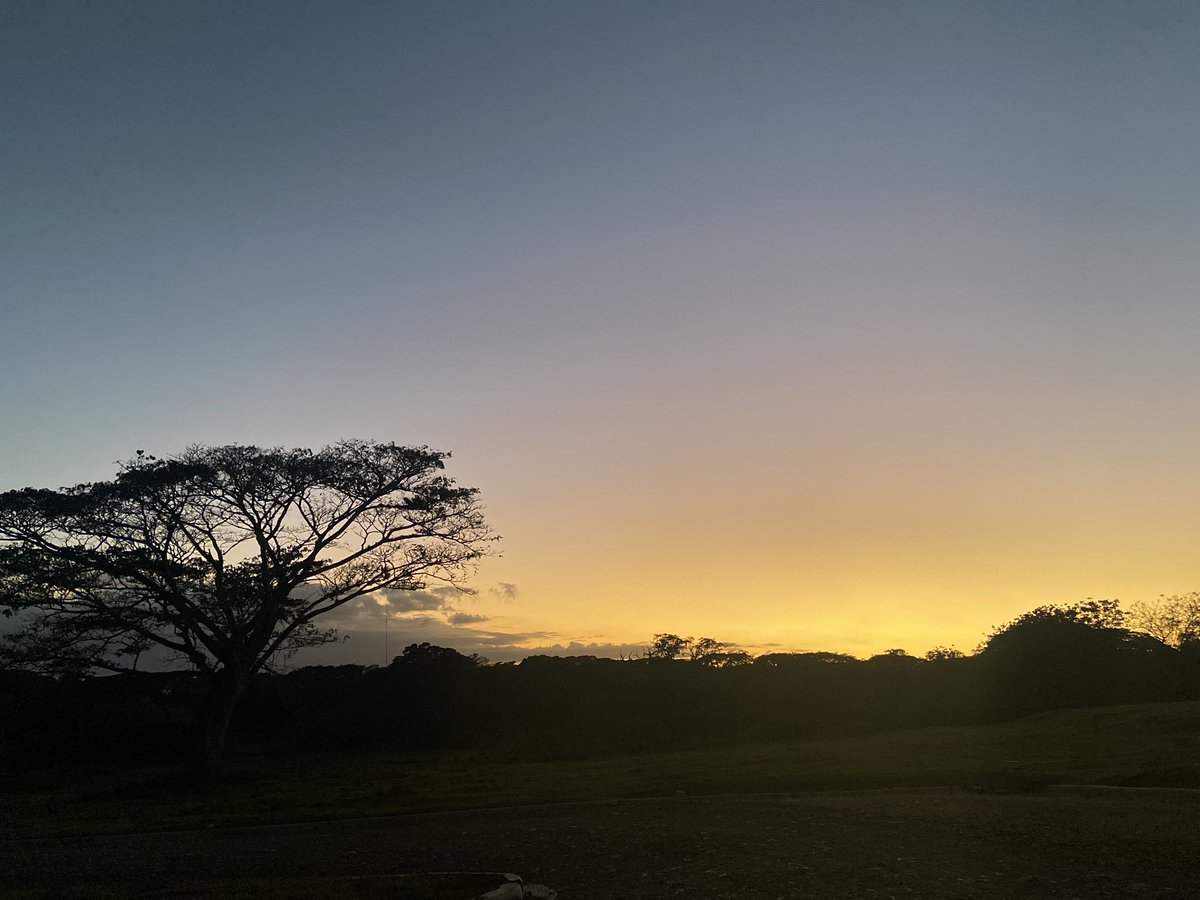 Anshley_Connor's tweet photo. @escritosrame República Dominicana, San Francisco de Macorís, carretera nagua, Residencial Prikaren. 🌅🤍🫠 https://t.co/Avh1VDs1mo