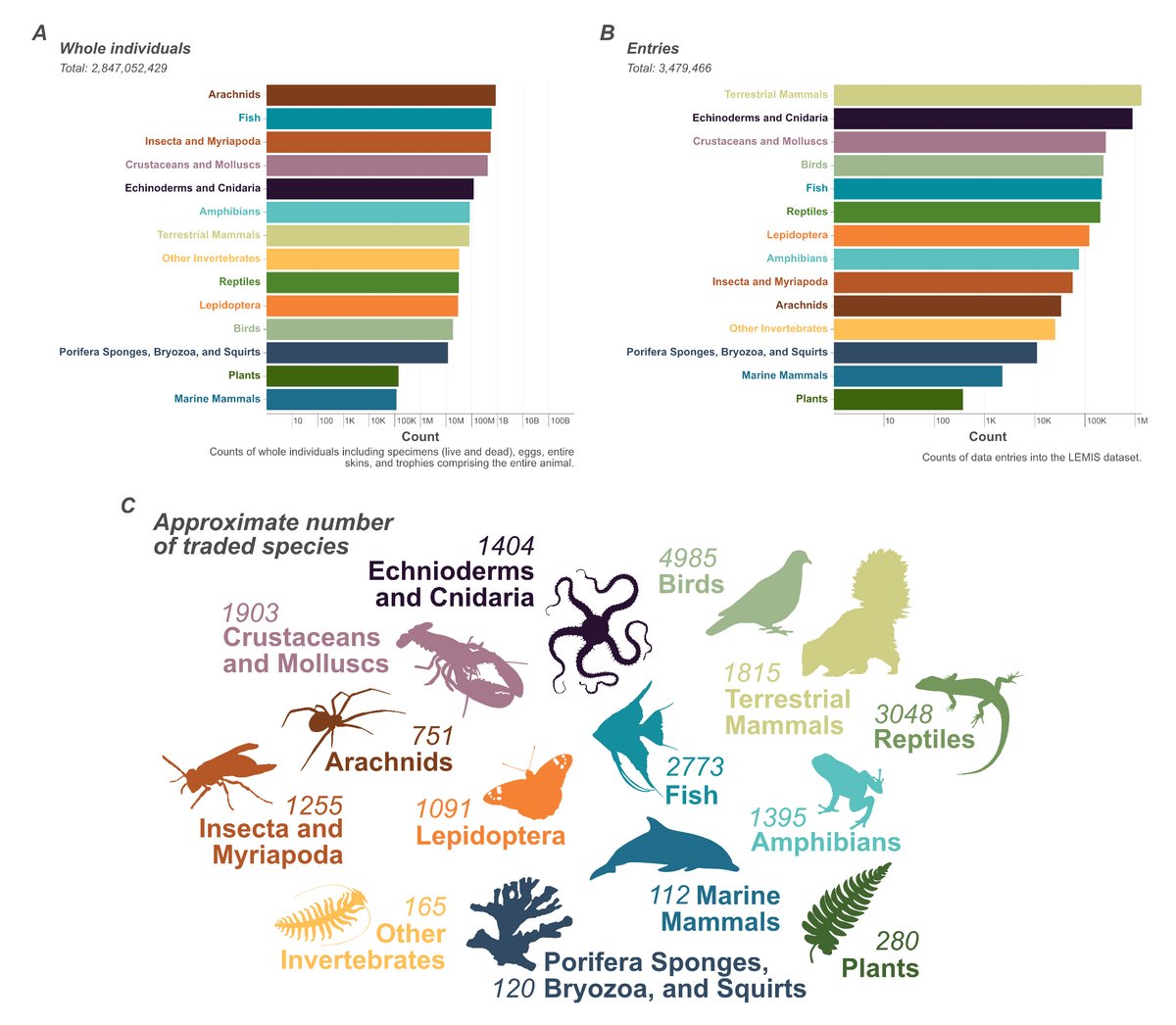 New #preprint led by @AliceCHughes and Ben Marshall looks into 22 years of #wildlife #trade in the US. When LEMIS data is combined with CITES records, the US imported over 29,445 species. With @carol_sayuri_ and many others researchsquare.com/article/rs-389… @libre_research @CE3CResearch