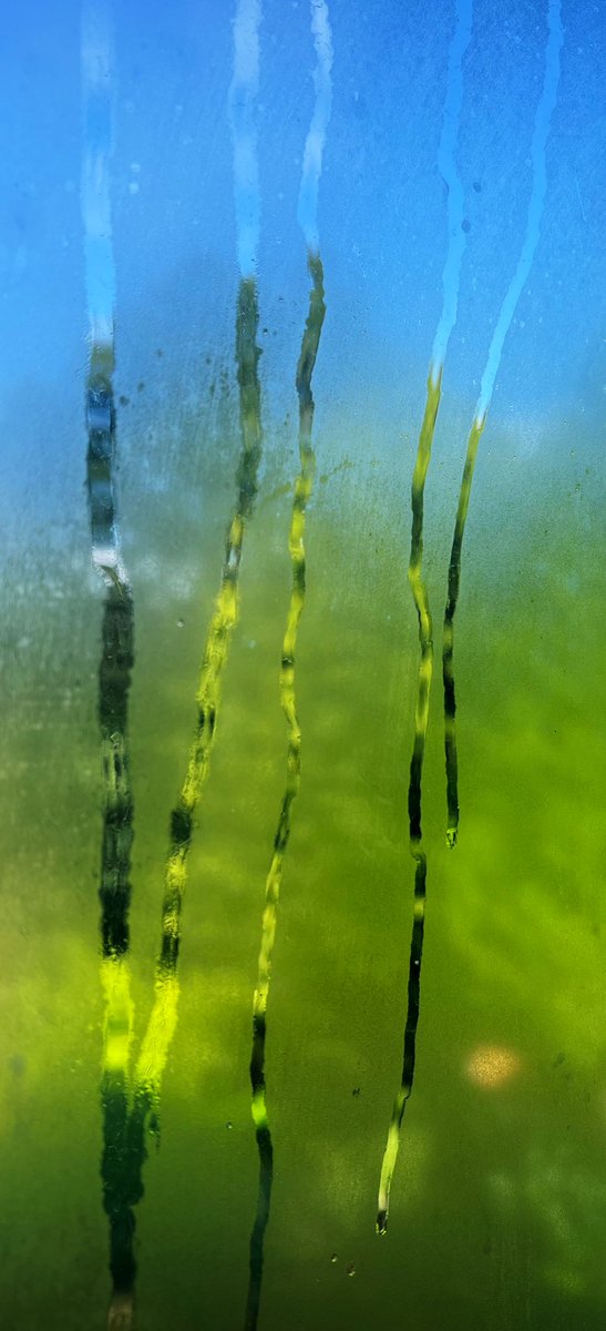 My painting vs the reference photo