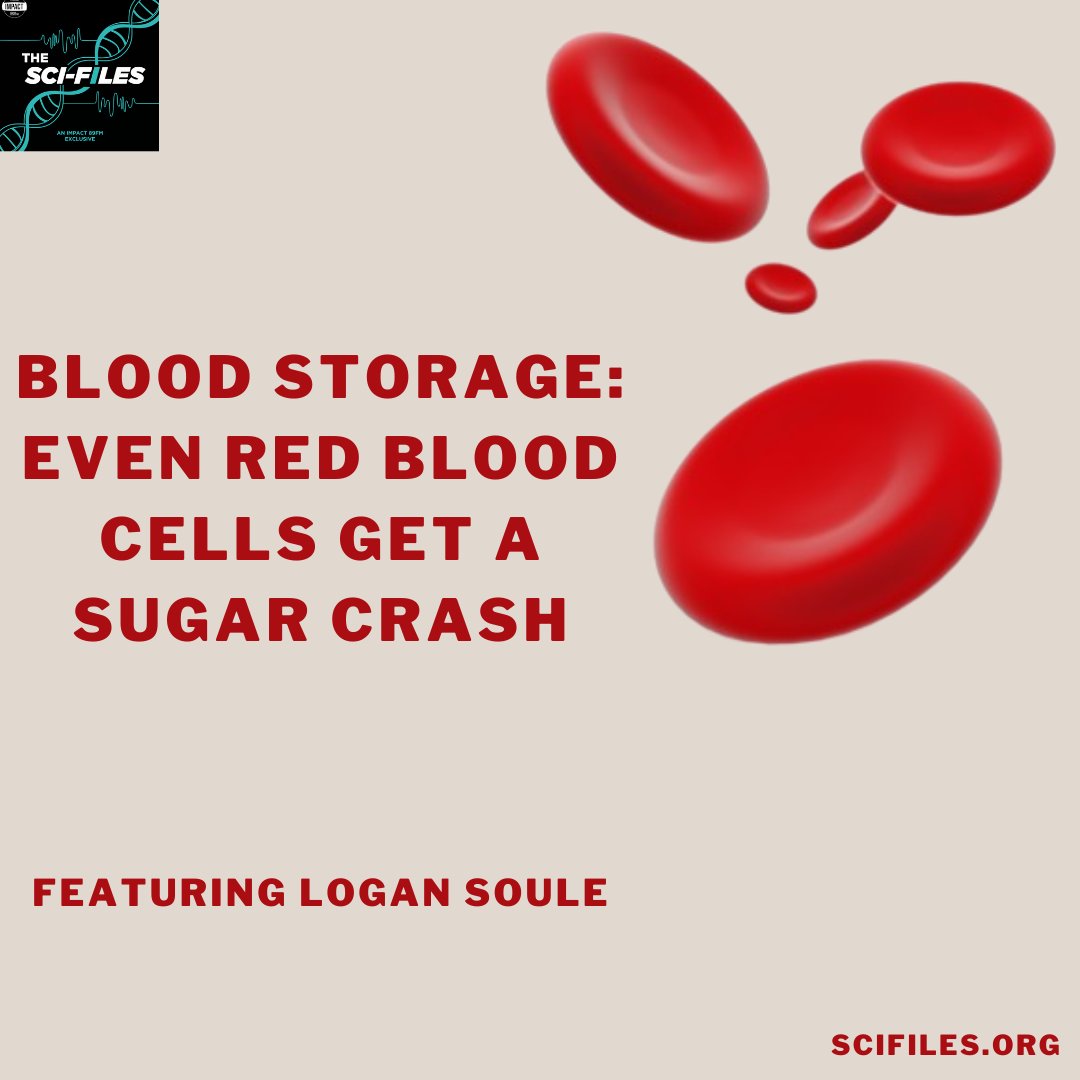 The Sci-Files tweet media