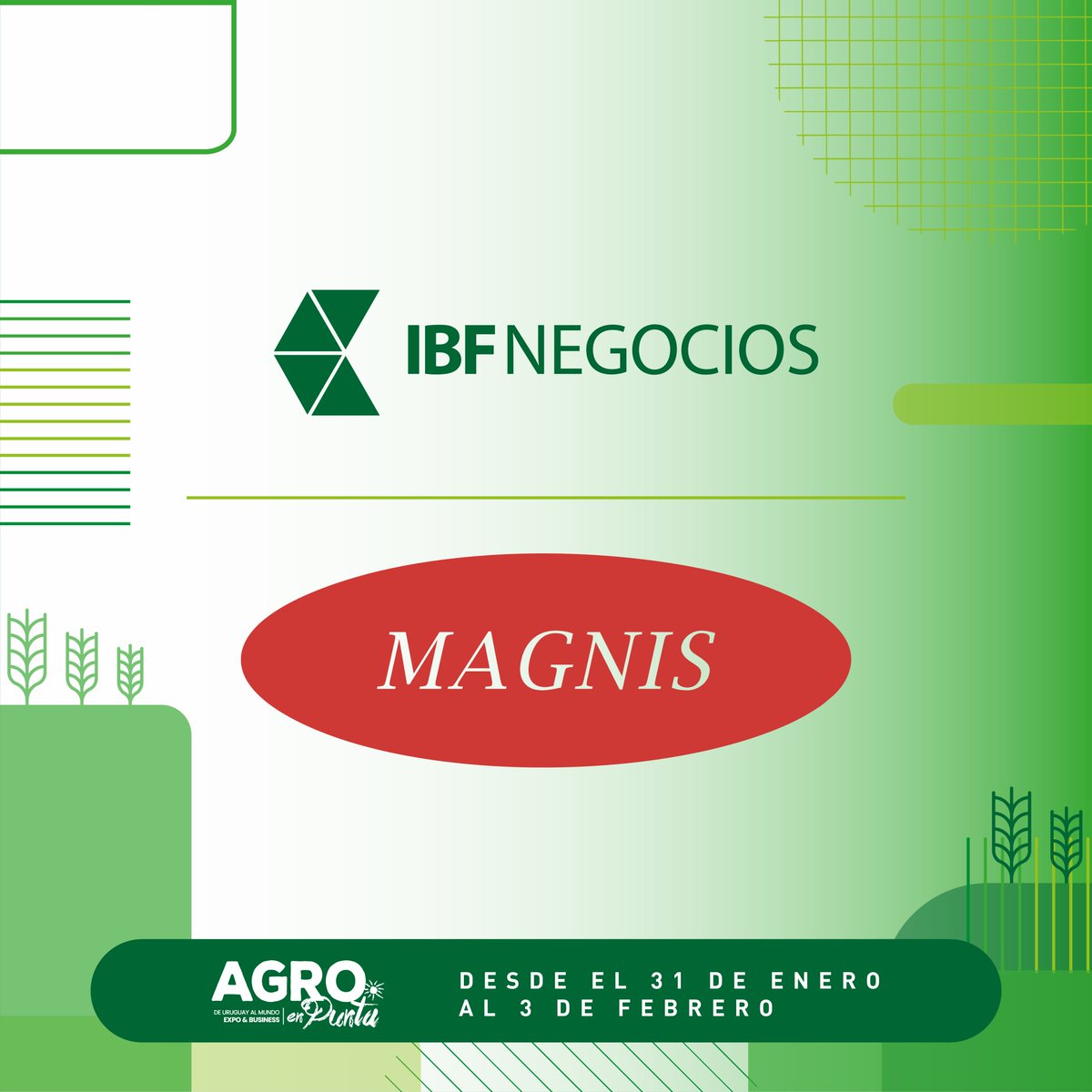 IBF Negocios tweet media