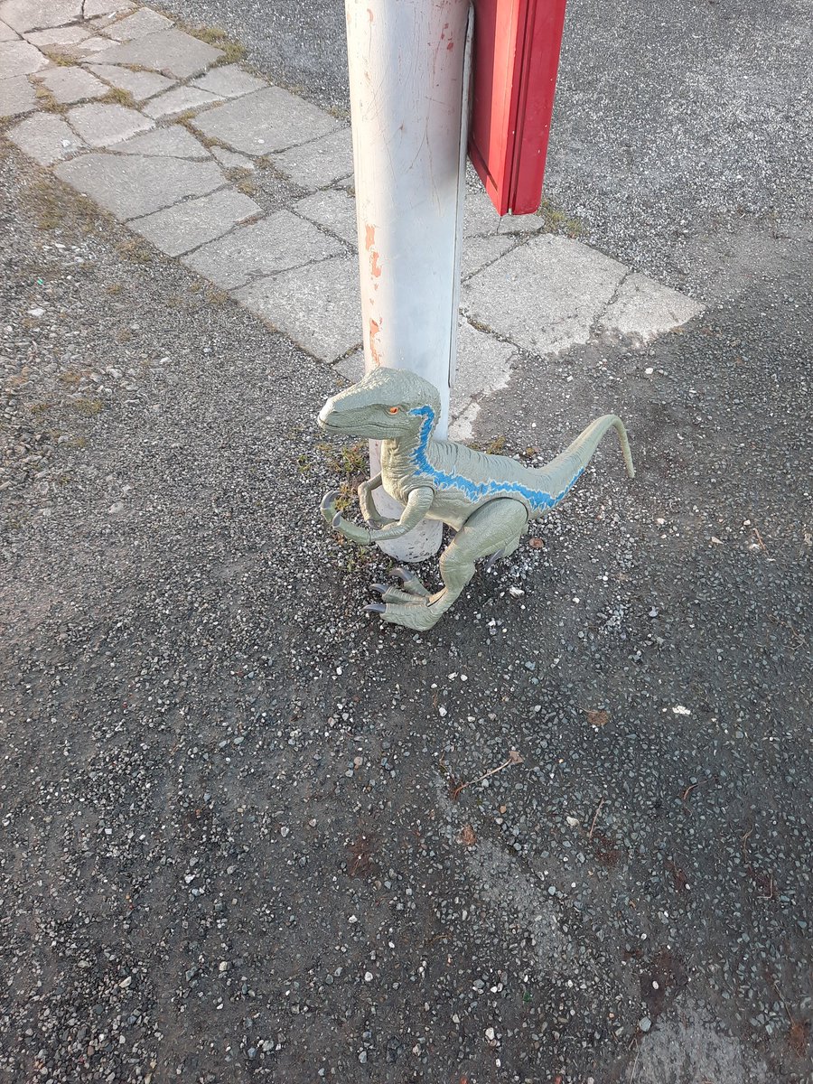 Michael D Andrews tweet media