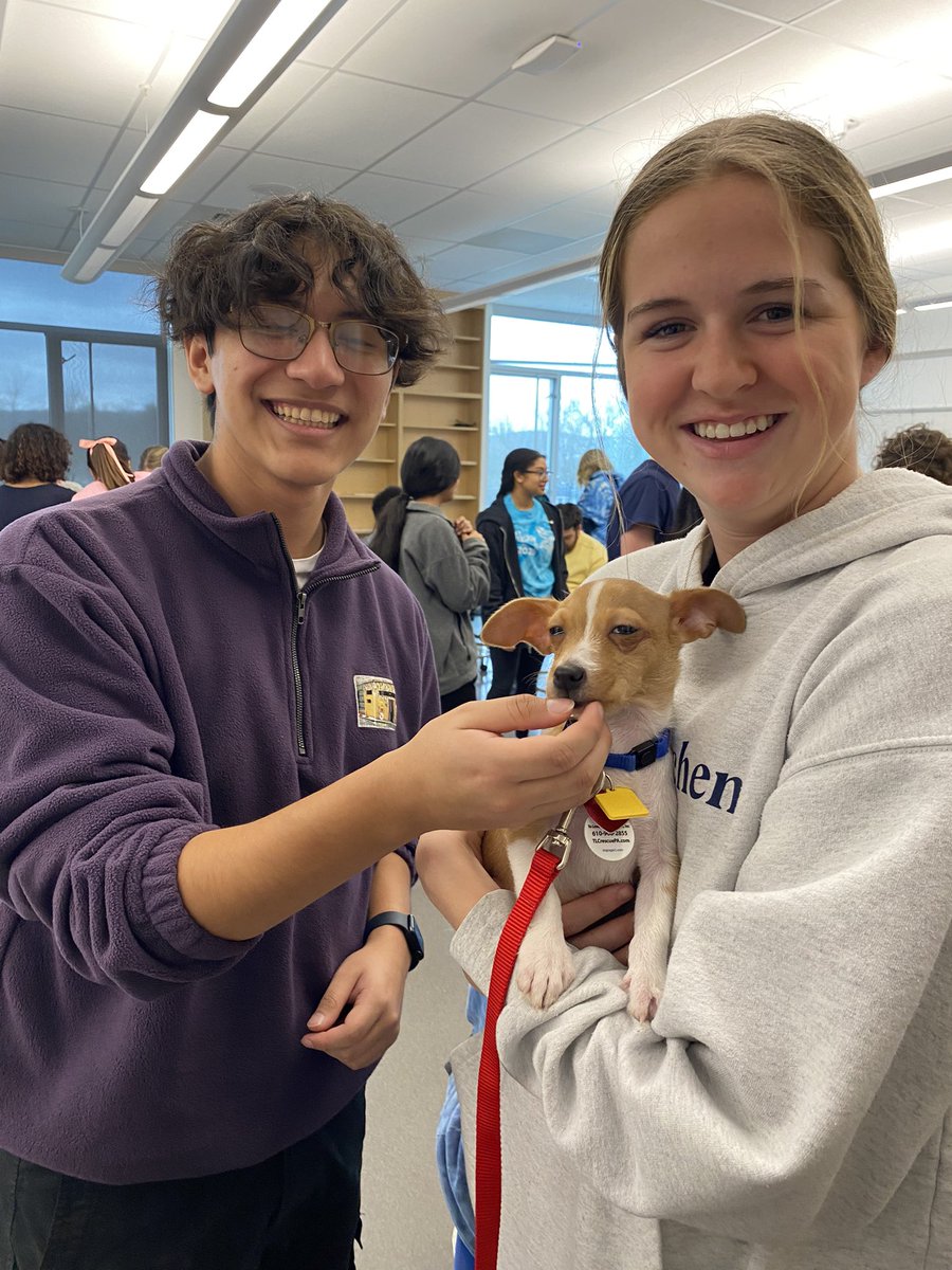 HORNS UP tweet media