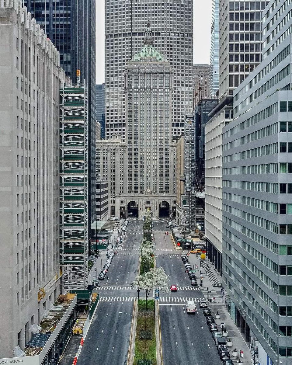 Park Avenue, New York City

#mysecretnyc #nycityworld #dronestagram #newyorkcity #newyork_world #nycprimeshot #manhattanbridge #summerinthecity #nyclife #welovenyc #airvuz #brooklyn #newyork_instagram #summervibes #icapture_nyc #newyorkstateofmind #wow_newyork #dumbobrooklyn