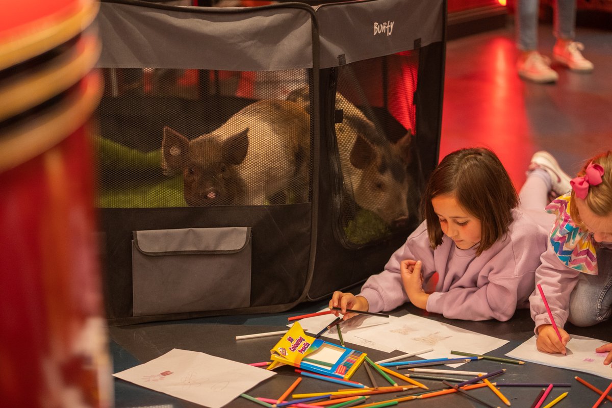 The Garden Cinema (@thegardencinema) on Twitter photo We are super excited to be welcoming back three miniature pigs from <a href="/kewlittlepigsuk/">Kew Little Pigs Farm</a>, for our family screening of Charlotte's Web on Saturday 17 Feb.
Pay-What-You-Can: Tickets on sale Monday 5 Feb at 18.00
thegardencinema.co.uk/film/charlotte⦠We are super excited to be welcoming back three miniature pigs from <a href="/kewlittlepigsuk/">Kew Little Pigs Farm</a>, for our family screening of Charlotte's Web on Saturday 17 Feb.
Pay-What-You-Can: Tickets on sale Monday 5 Feb at 18.00
thegardencinema.co.uk/film/charlotteβ¦