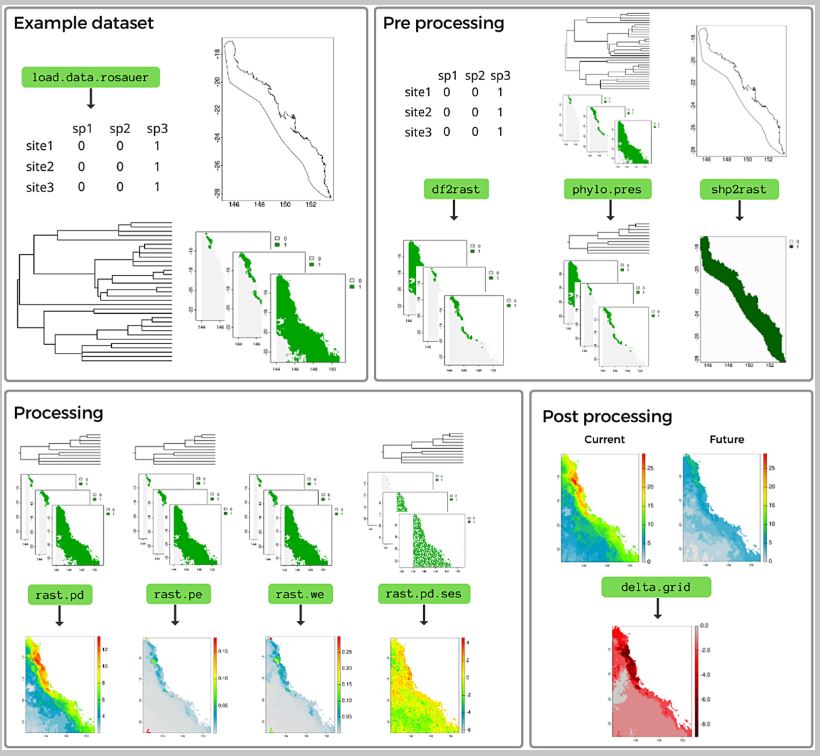 Ecography (@ecographyjourna) on Twitter photo ‘phyloraster': an R package to calculate measures of endemism and evolutionary diversity for rasters
nsojournals.onlinelibrary.wiley.com/doi/10.1111/ec… #software #GIS #macoecology #spatial_ecology <a href="/NordicOikos/">Nordic Society Oikos</a> <a href="/WileyEcolEvol/">Wiley Ecology & Evolution</a> ‘phyloraster': an R package to calculate measures of endemism and evolutionary diversity for rasters
nsojournals.onlinelibrary.wiley.com/doi/10.1111/ec… #software #GIS #macoecology #spatial_ecology <a href="/NordicOikos/">Nordic Society Oikos</a> <a href="/WileyEcolEvol/">Wiley Ecology & Evolution</a>