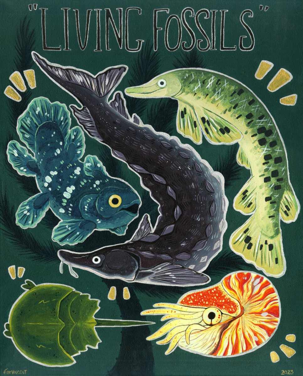 Fox (Ink Animal) tweet media