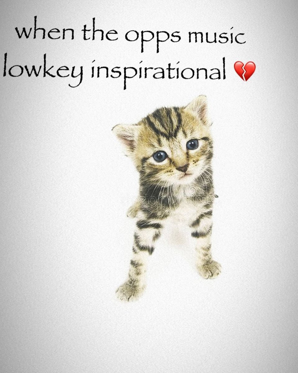 moved to new account (@imyrave) on Twitter photo 