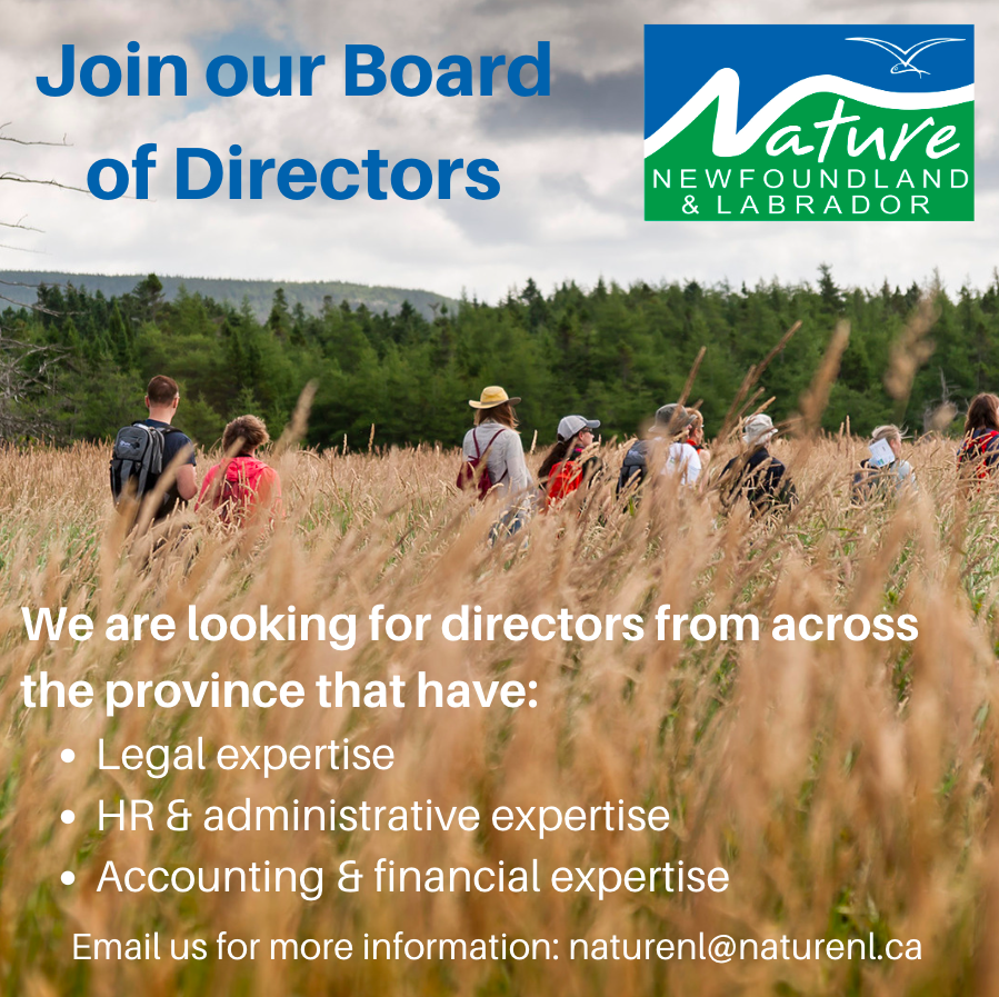 Do you want to get involved with Nature Newfoundland & Labrador, and help make a difference in our province? Join our Board of Directors! 🌱 Vacant Positions: - Treasurer - Secretary For more information, email naturenl@naturenl.ca