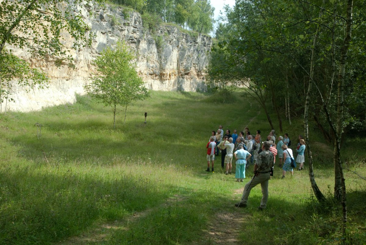 We organiseren ieder jaar enkele honderden excursies in onze terreinen en gebouwen. Van Cottessen tot Landgoed de Hamert en van het Weerterbos tot het NAVO-Hoofdkwartier. Ook deelnemen aan een excursie en meer te weten komen over een gebied of monument? 👉 limburgs-landschap.nl/agenda