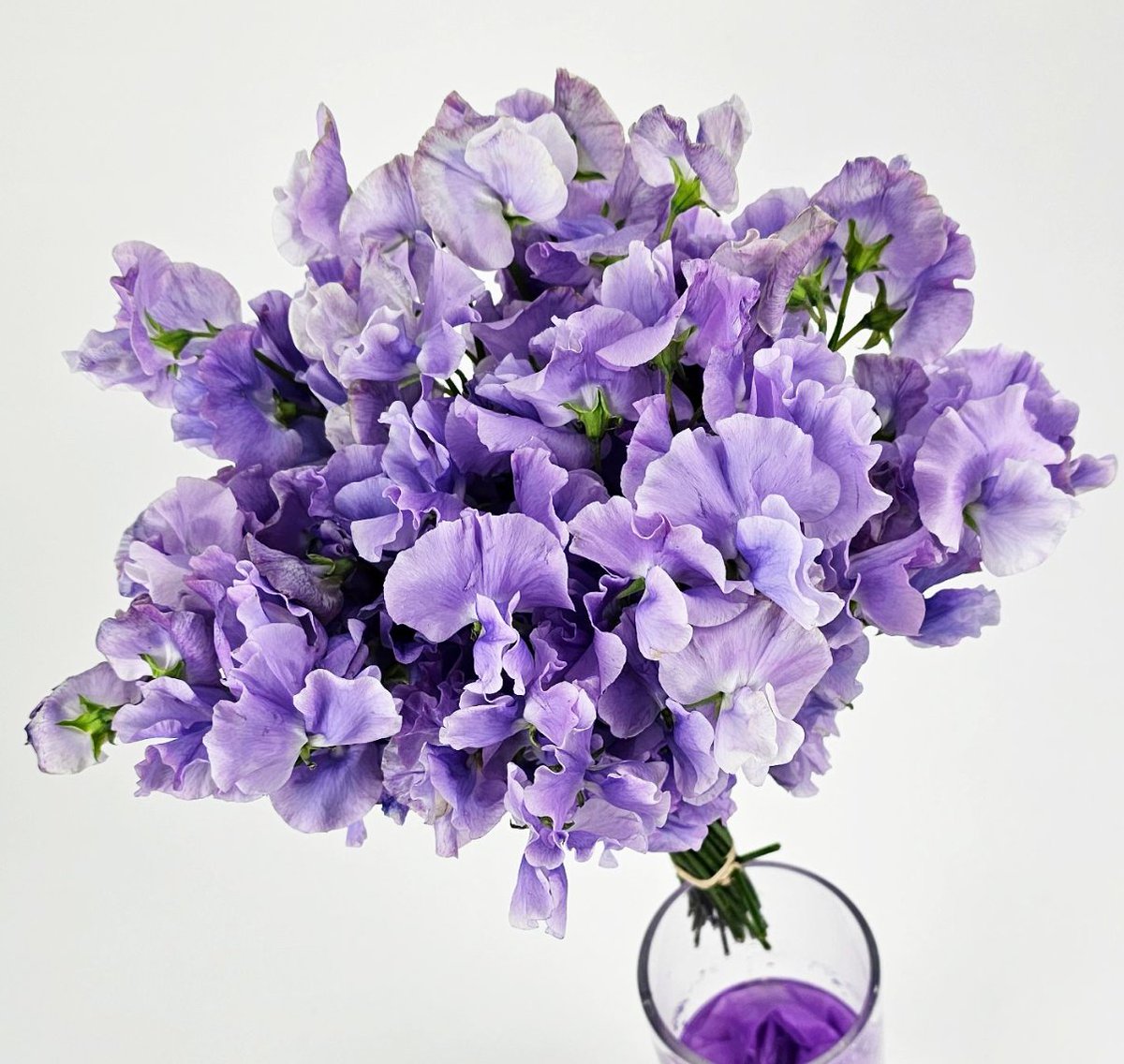 RoseHarrisRE's tweet photo. Discover The Best Flower Markets In Miami from @MIAMImagazine: https://t.co/bY0TIJMb8b

#MIAMImagazine #MiamiFlowerMarkets #flowers #miamiflowers #flowermarkets #miami #miamibeach #miamifl #florida #miamirealestate https://t.co/2isBlkeaAp