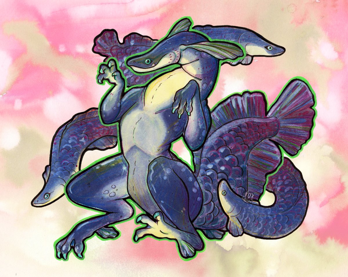 Fox (Ink Animal) tweet media