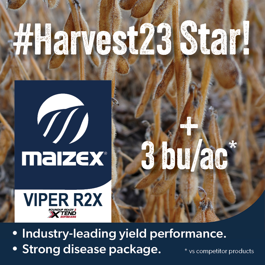 Maizex Seeds tweet media