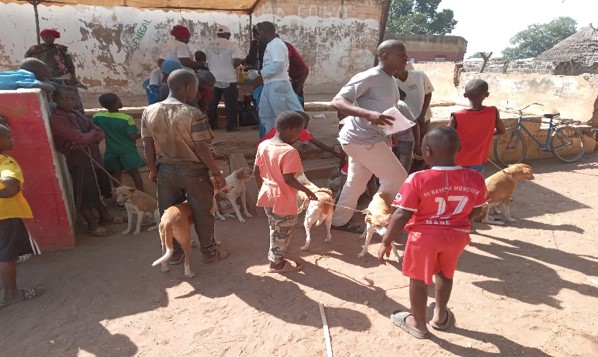 NGOSolthis's tweet photo. #OneHealth 
🐕#Vaccination des chiens errants contre la #rage dans le cadre du projet #Thiellal au #Sénégal.  
🩺Le OneHealth favorise la collaboration interprofessionnelle entre médecines humaine et animale pour des résultats améliorés. 
🔗Notre projet : https://t.co/iYlsrCKX5L https://t.co/SAYqg64Xog