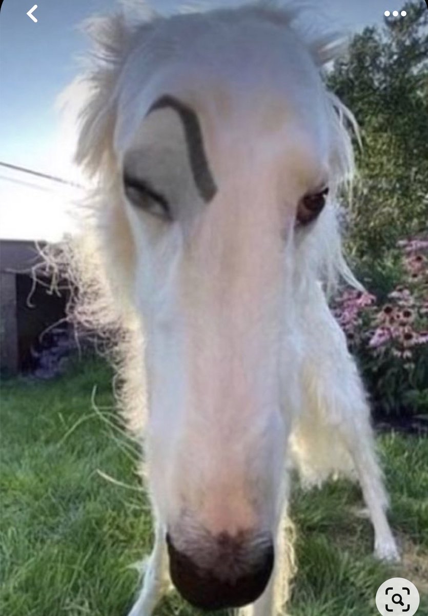 Yendo el viernes a la revisión de pps a ver si me suben 4,7 puntos. yo solo quiero acabar la carrera y necesito 3 miseros créditos para el tfg