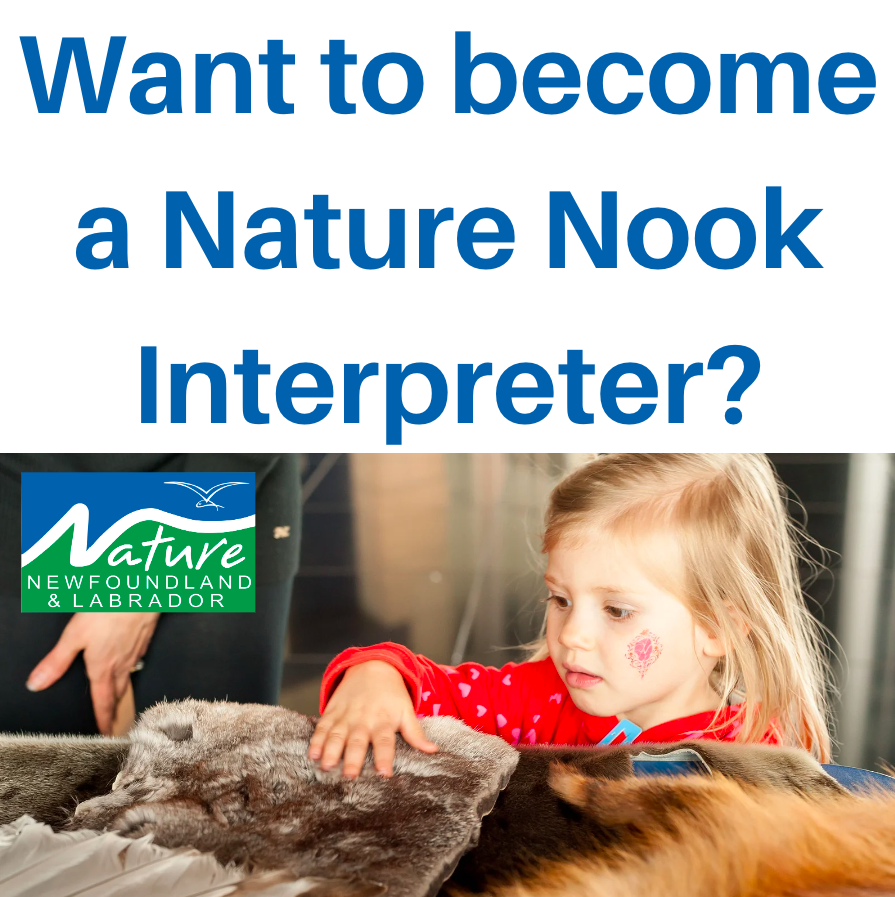 Calling all volunteers! 📣 Have experience with kids outreach, and have a passion for the nature in Newfoundland & Labrador? Become a Nature Nook Interpreter! 🌱 For more information, email naturenl@naturenl.ca #NatureNL #Natureforall #NatureNook