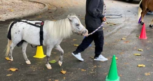 LifeInNaples tweet media