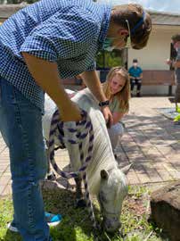 LifeInNaples tweet media