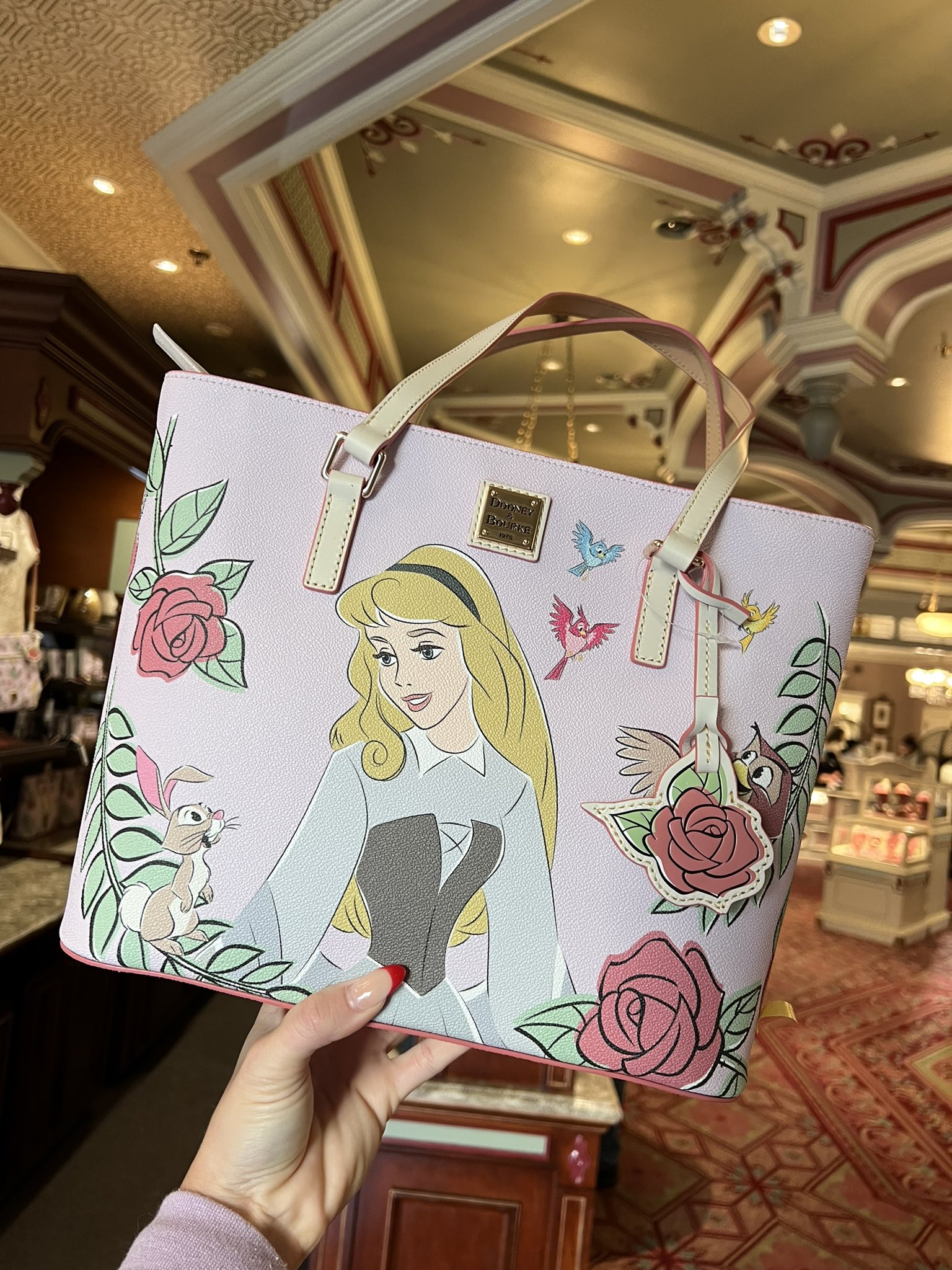 Dooney and bourke sleeping beauty bag hotsell