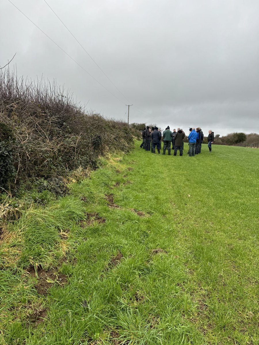 Pembrokeshire Project tweet media