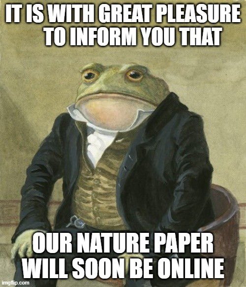 Stay tuned, coming soon to a desktop near you 📣🎉🦋
#twittergang #soon #announcement #Wednesday