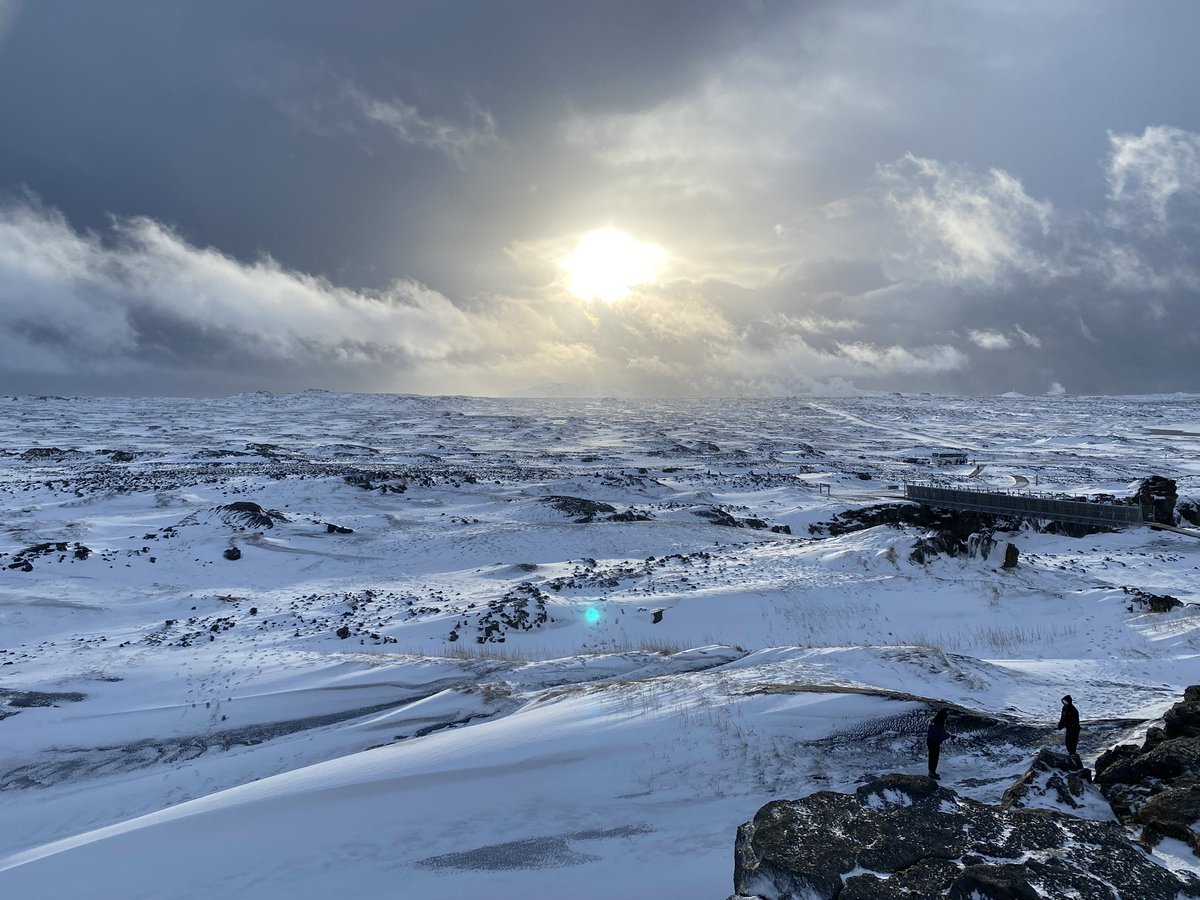 Jonathan Gunn tweet media